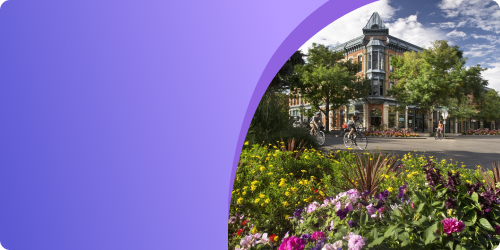 Fort Collins SEO Company