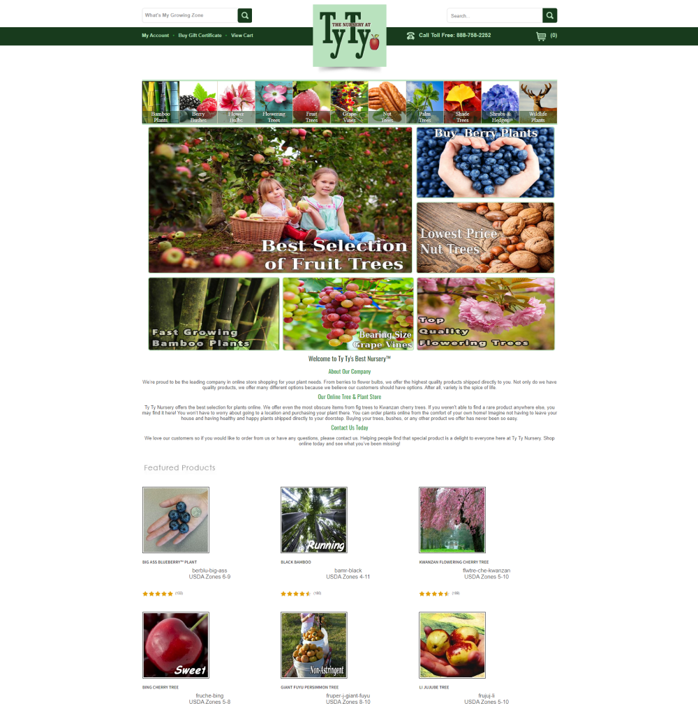 Previous home page