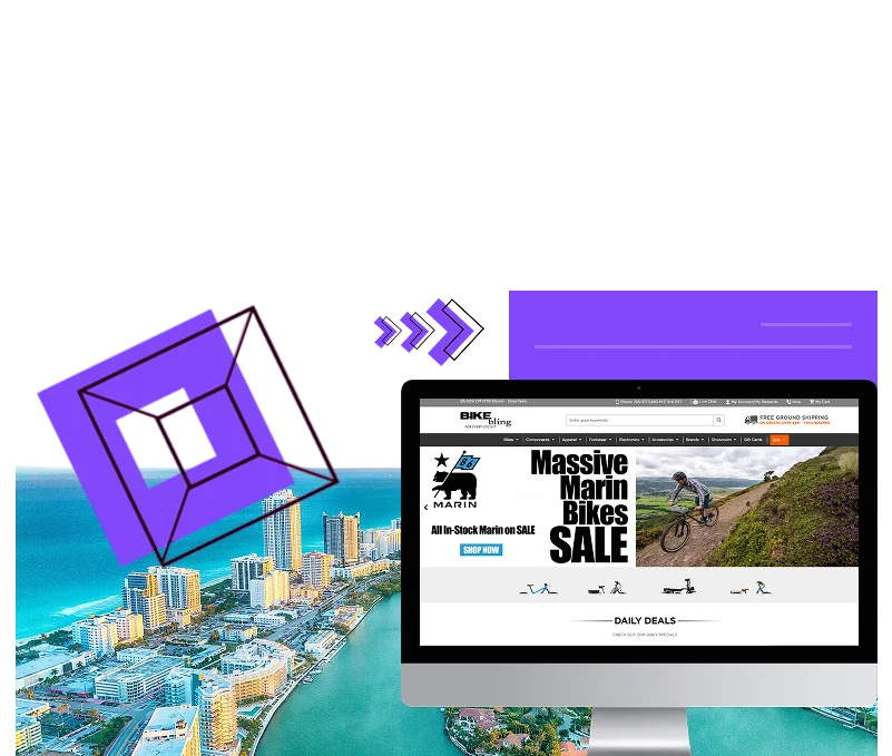 Seo Services by state - Florida  SEO