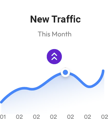 WordPress site new traffic