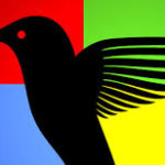 How Google's Hummingbird Updates Affect Your SEO Efforts?