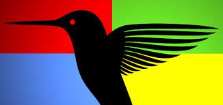 How Google’s Hummingbird Updates Affect Your SEO Efforts?