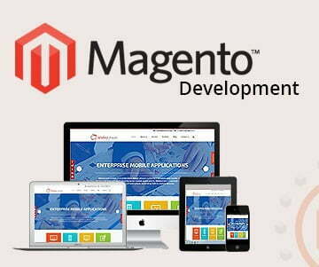 Top 5 Reasons to Consider Magento for Your eCommerce Site