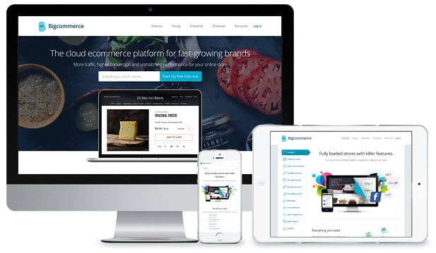 BigCommerce Development