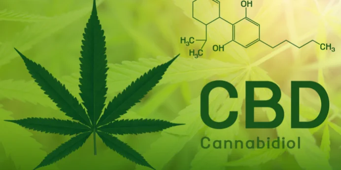 Online CBD Business