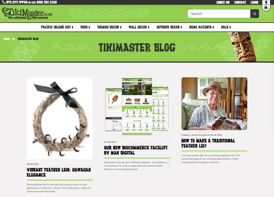 picture of tikimaster blog page