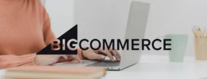 A Complete Guide to BigCommerce Themes