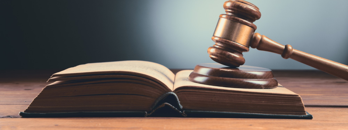 Image of gavel and law book