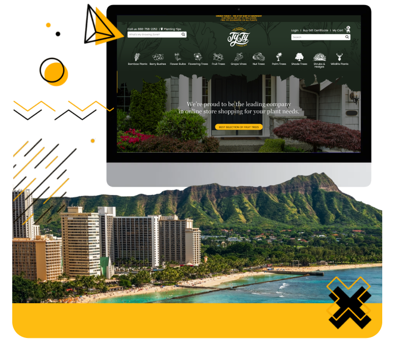 Seo Services by state - Hawaii SEO