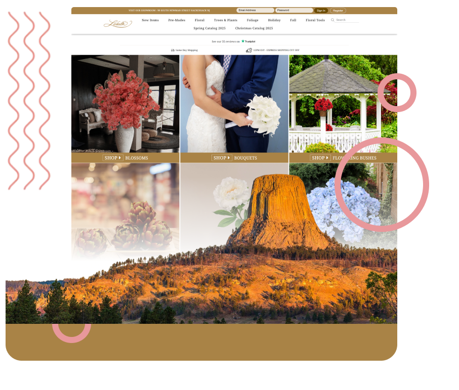Seo Services by state - Gillette SEO