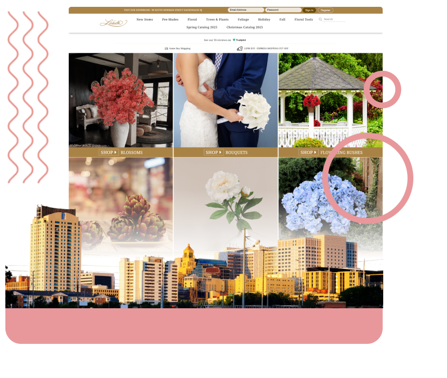 Seo Services by state - Brooklyn Park SEO