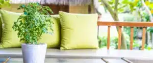 Home Goods and Garden Industry Trends 2025