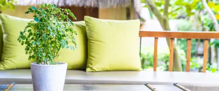 Home Goods and Garden Industry Trends 2025