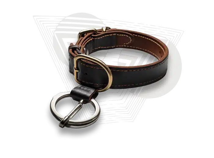  Image of a dog collar