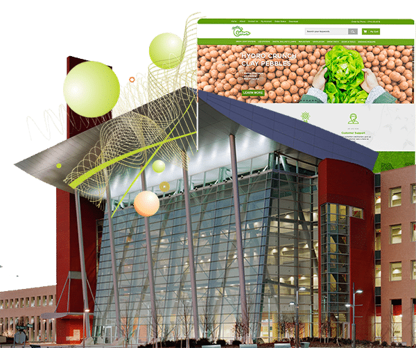 Seo Services by state - Warren SEO