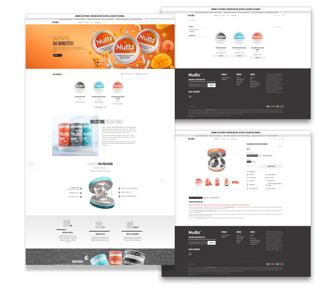 NuBz Website Design concept